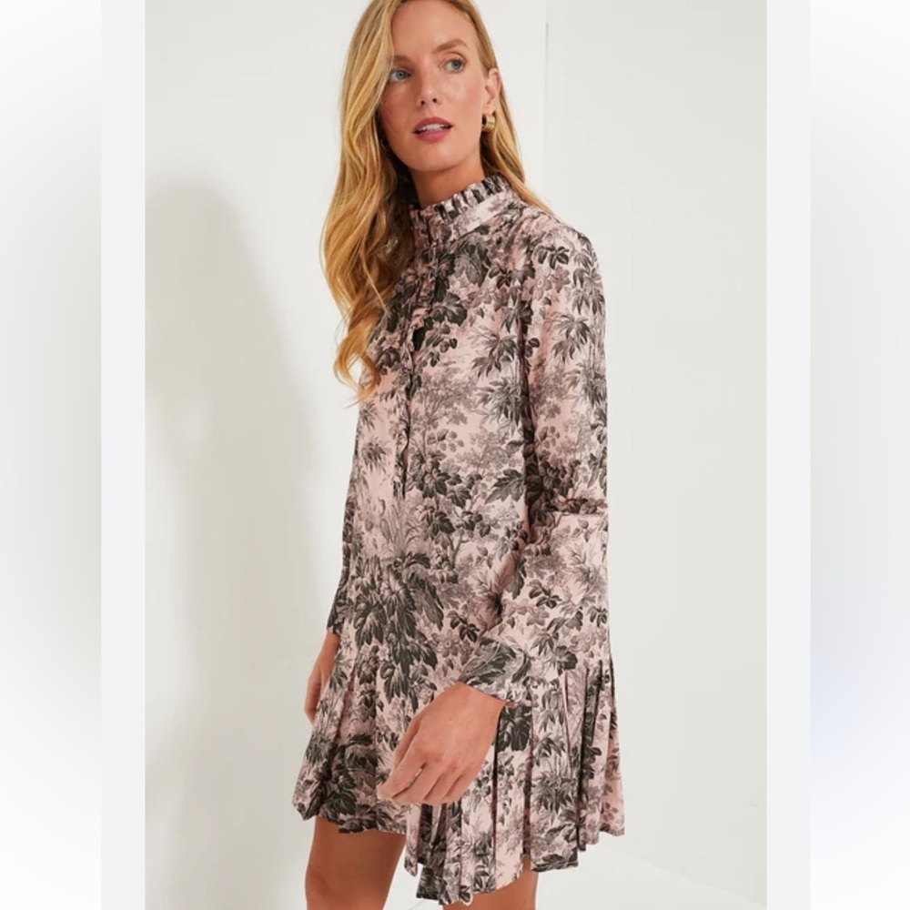 Tuckernuck Tate pressed powder toile mini dress